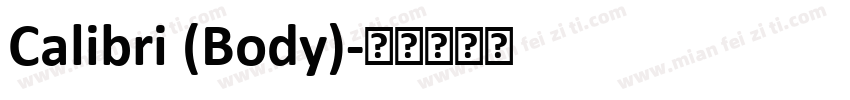 Calibri (Body)字体转换